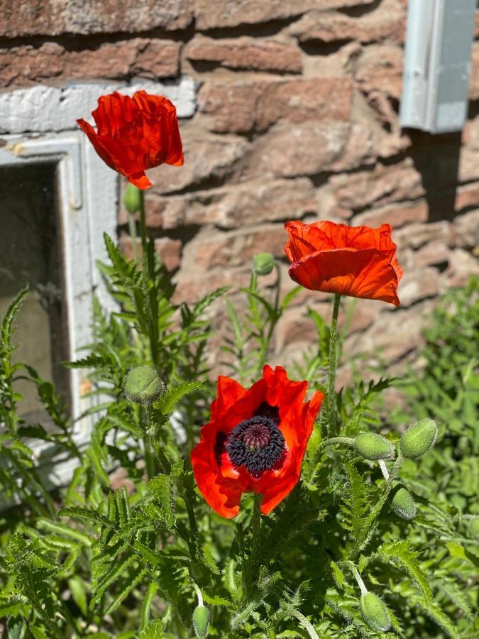 Rosenfors Herrgard B&B Borgholm Eksteriør bilde